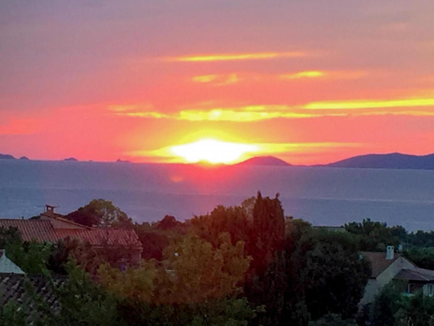 Corsicadream Arone Superbe Dans Villa, Vue Panoramique Mer, Piscine, Proche Porticcio Apartamento