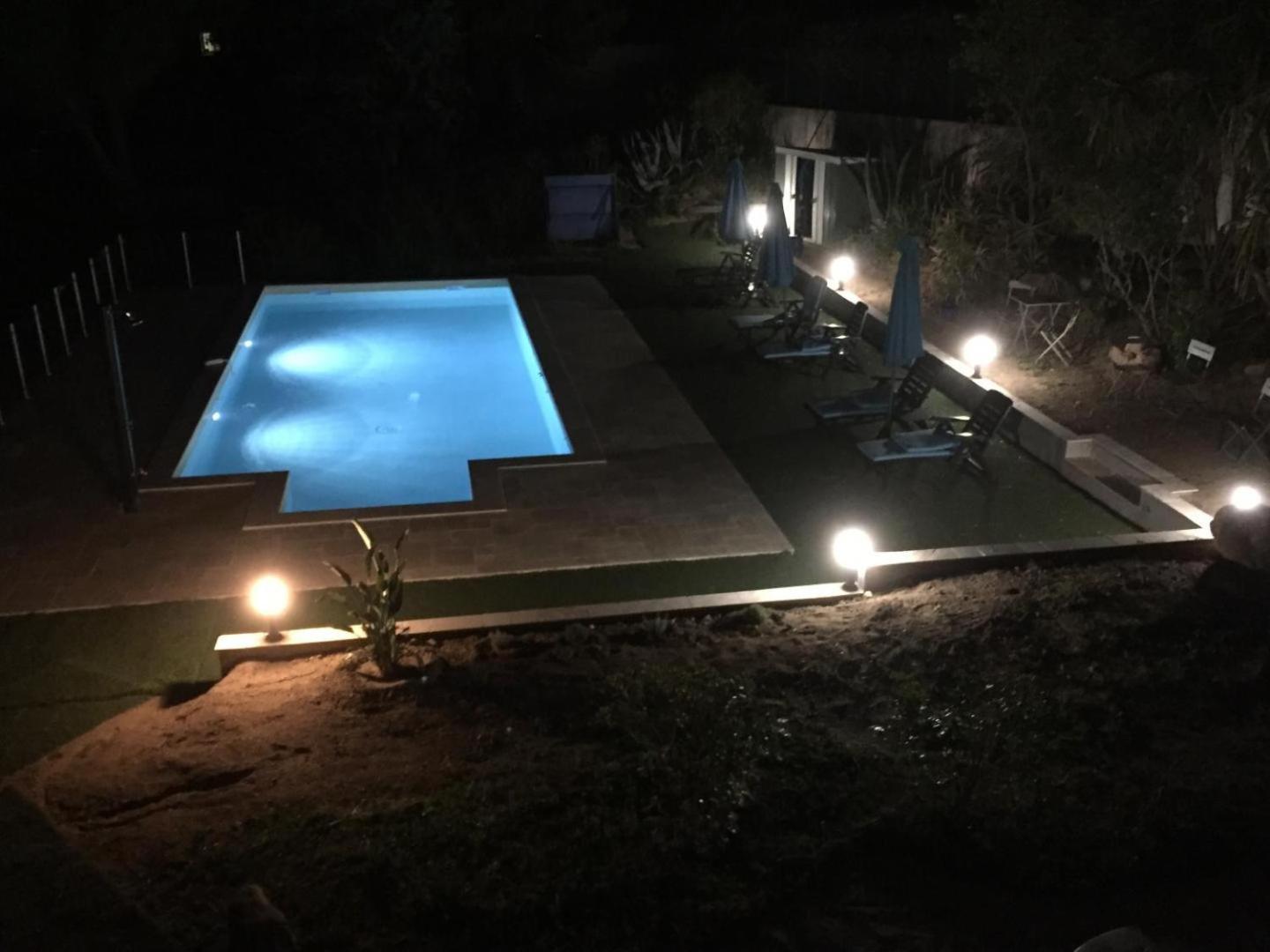 Corsicadream Arone Superbe Dans Villa, Vue Panoramique Mer, Piscine, Proche Porticcio Apartamento
